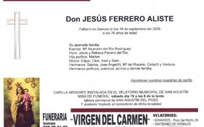 Jesús Ferrero Aliste